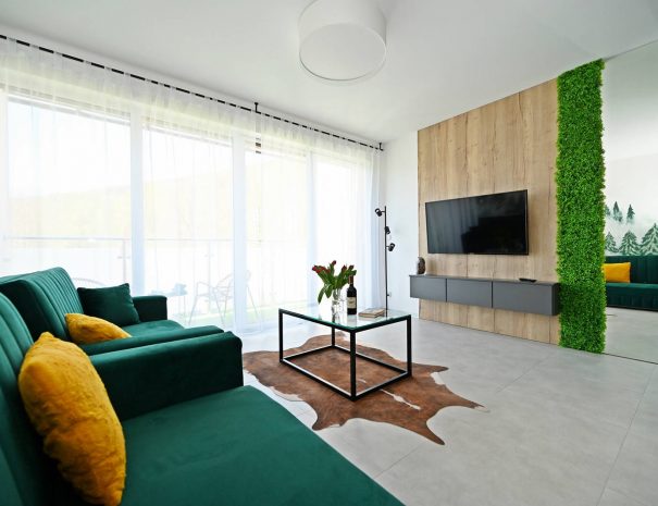 ApartSzczyrk-Apartament-Natura-salon-kuchnia-35
