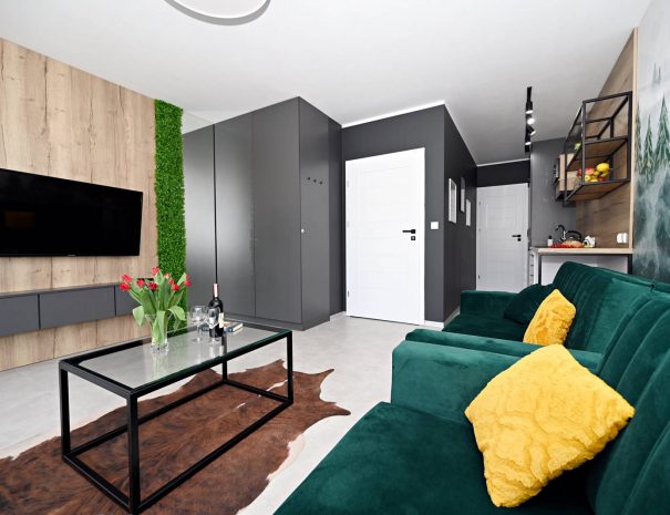 ApartSzczyrk-Apartament-Natura-salon-kuchnia-36